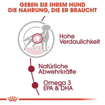 ROYAL CANIN MEDIUM Adult 10x140g – Bild 6