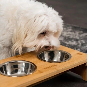 Lionto Erhöhte Futterstation Aus Bambus Braun/ Silber S – Bild 3